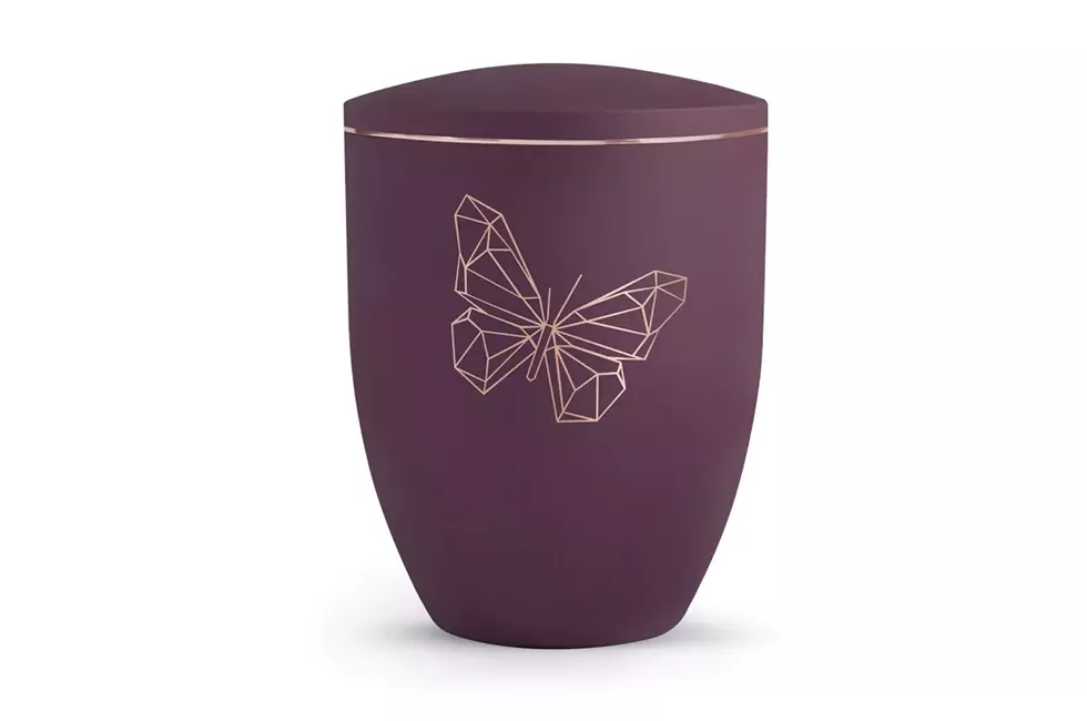 Urne mit Schmetterling vor weißem Hintergrund